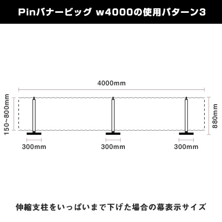 Pinバナービッグ w4000使用パターン3